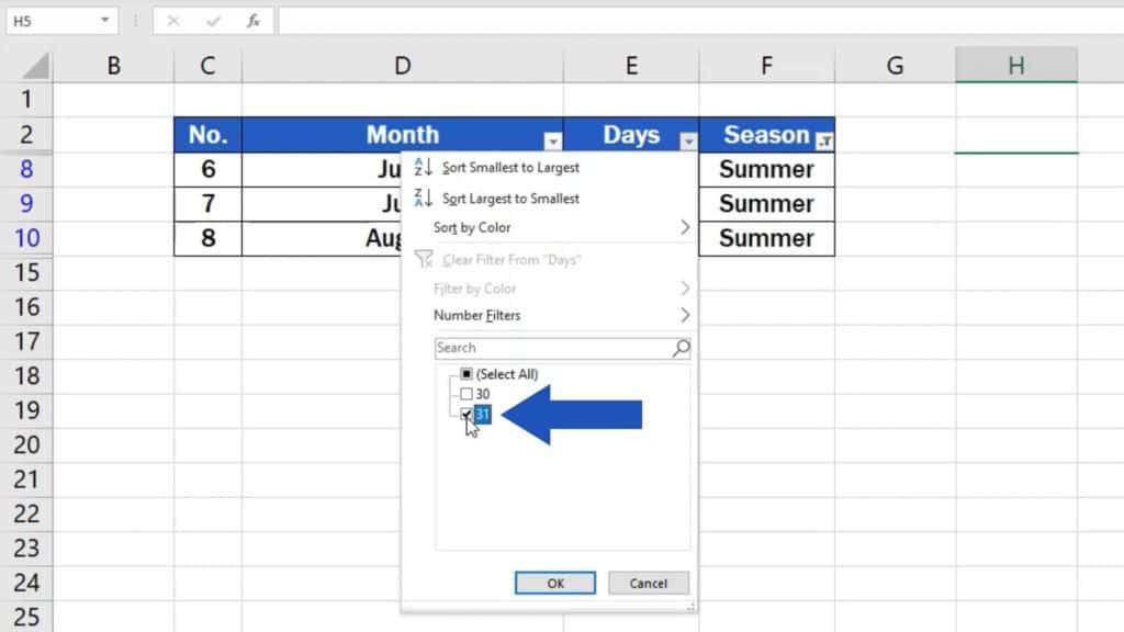 How to Create Filter in Excel - filter out options