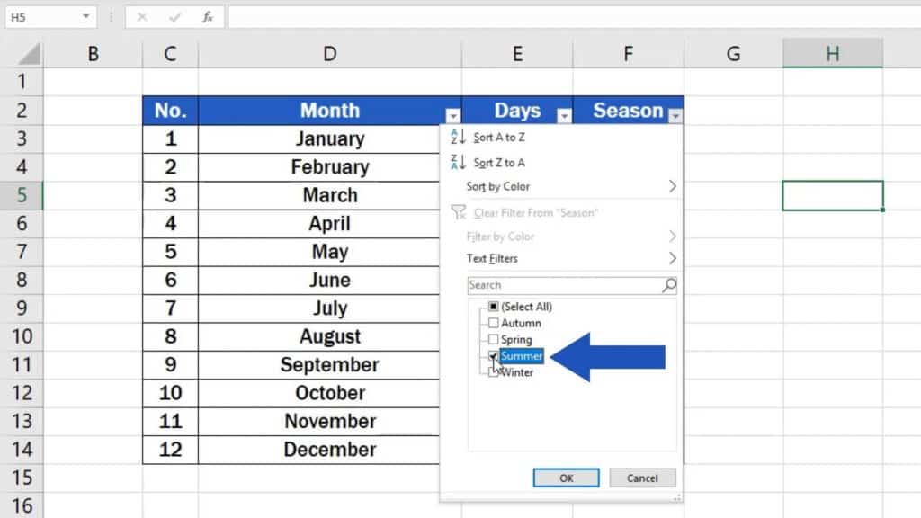 How to Create Filter in Excel - filter out summer months