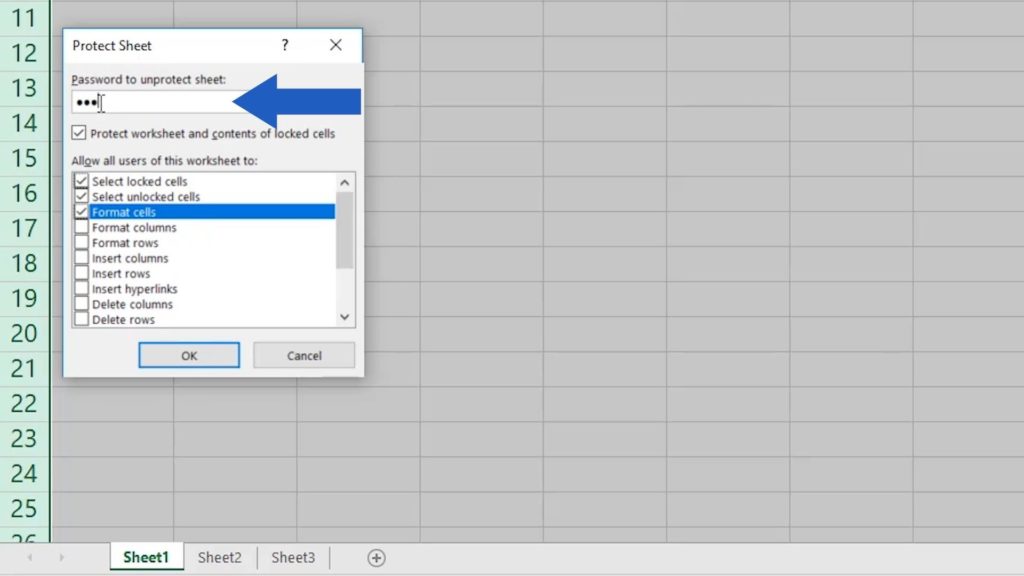 How to Protect Excel Sheet with Password - enter the password