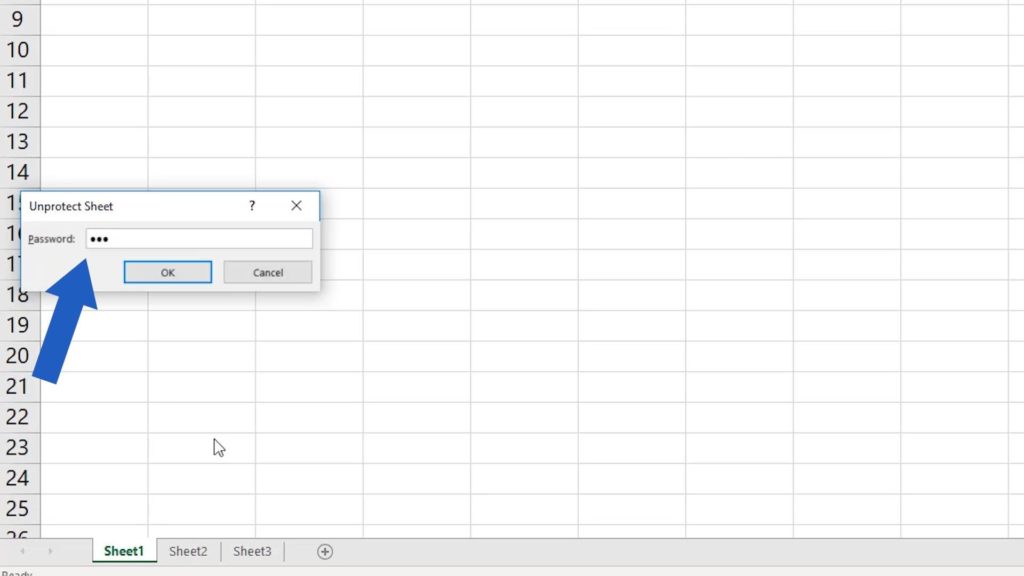 How to Protect Excel Sheet with Password - enter the password to unprotect sheet