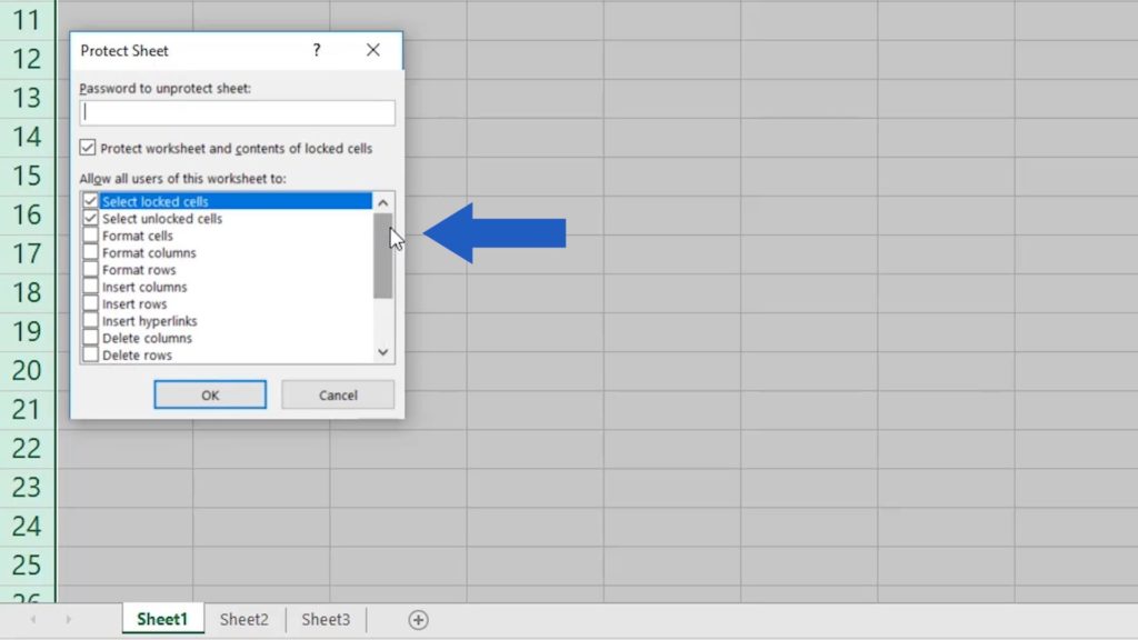 How to Protect Excel Sheet with Password - protect sheet options