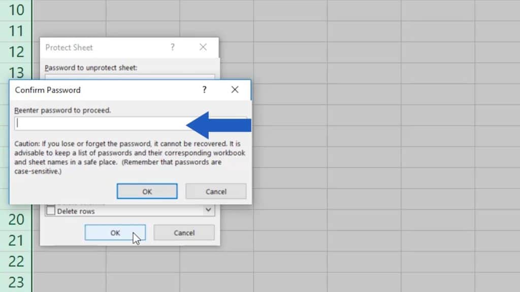 How to Protect Excel Sheet with Password - repeat the password