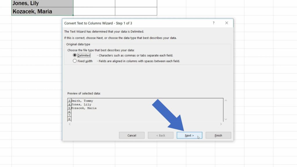 How to Separate Names in Excel - choose option delimited