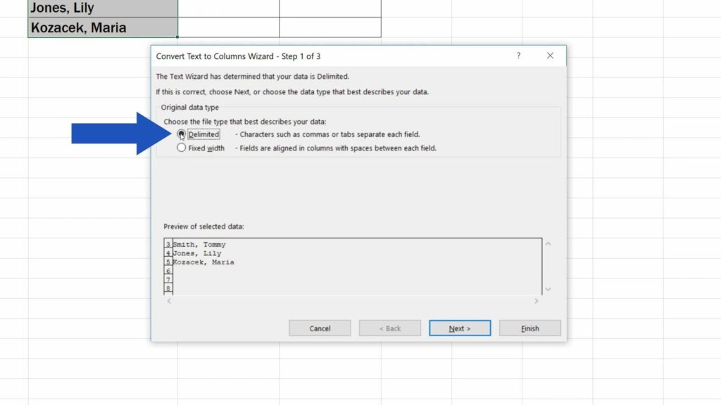 How to Separate Names in Excel - option delimited