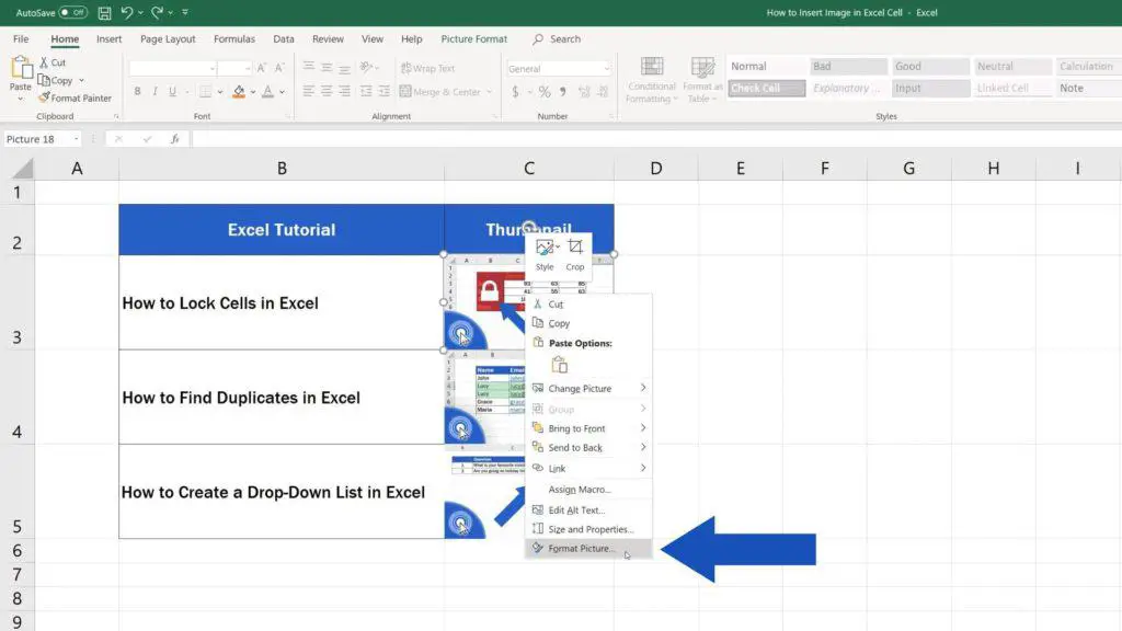 How to Insert Image in Excel Cell - hide row with picture in Excel