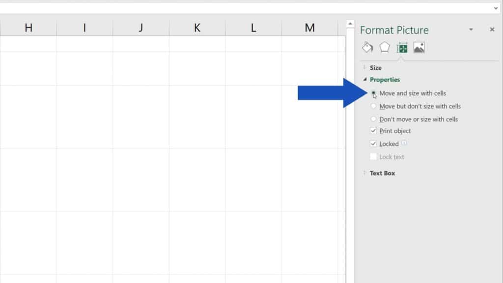How to Insert Image in Excel Cell - how to move and size picture with cell