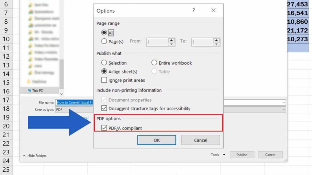 How to Convert an Excel File into PDF - PDF Options