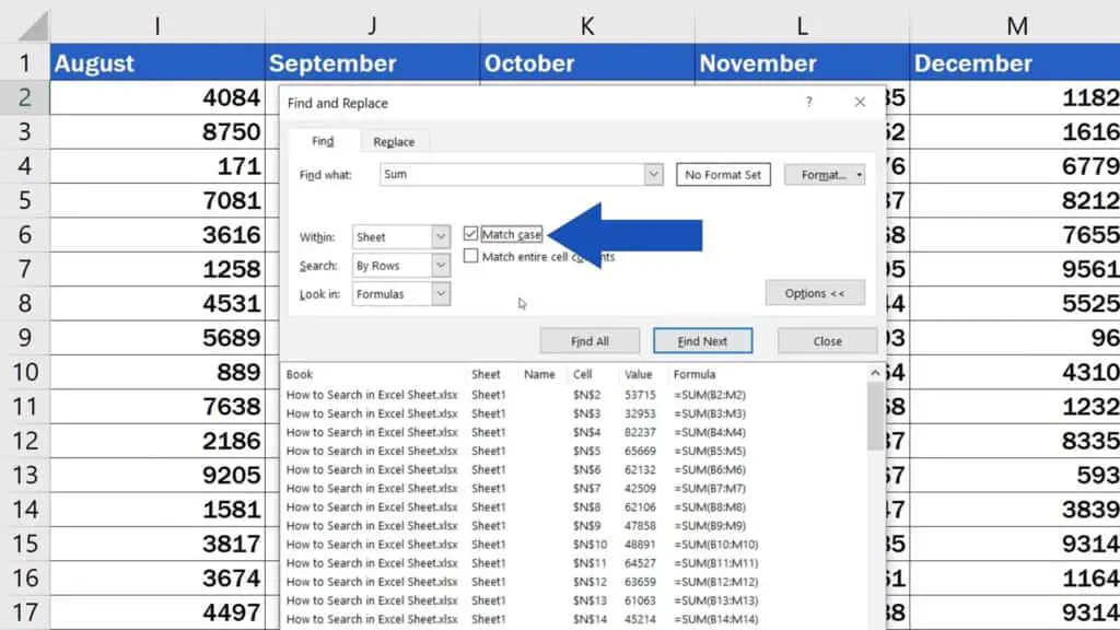 How to Search in Excel Sheet - Case sensitive search