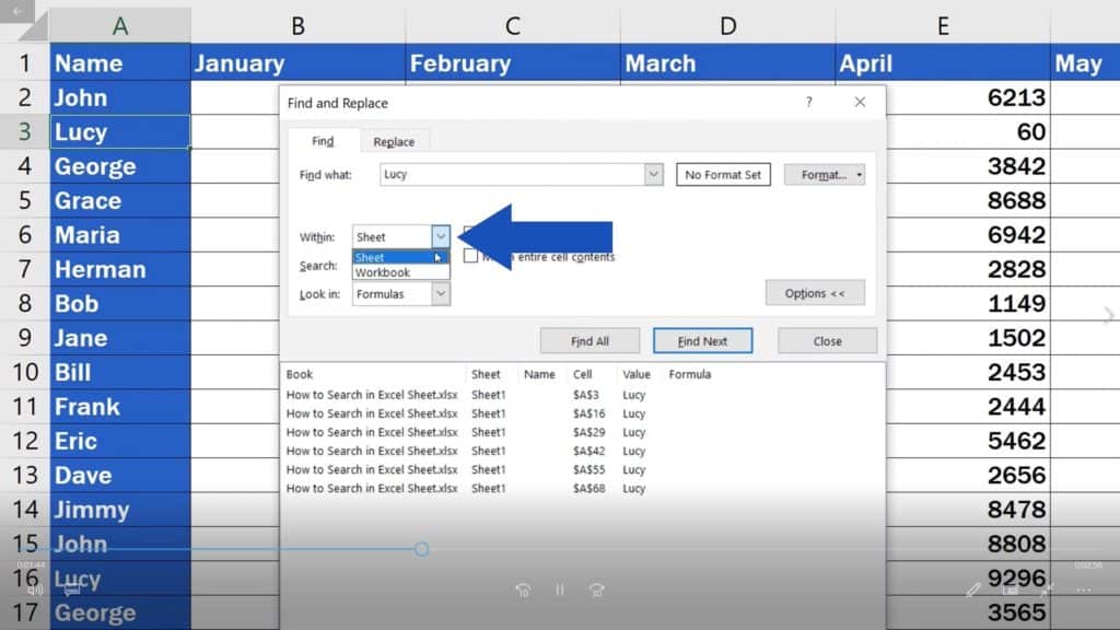 How to Search in Excel Sheet - Choose whether you want to search within the sheet or the whole workbook