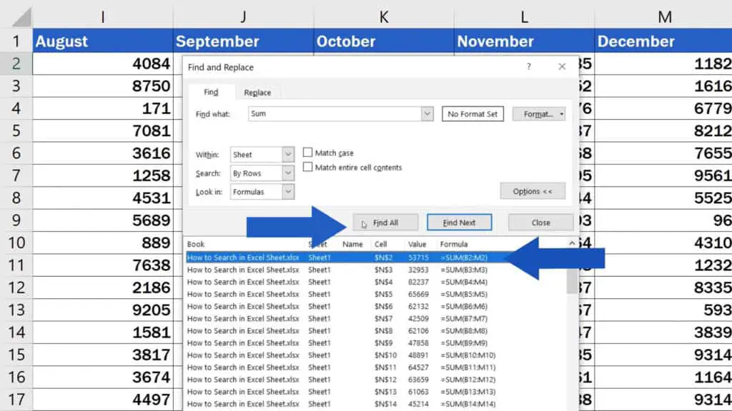 How to Search in Excel Sheet - Find All Function