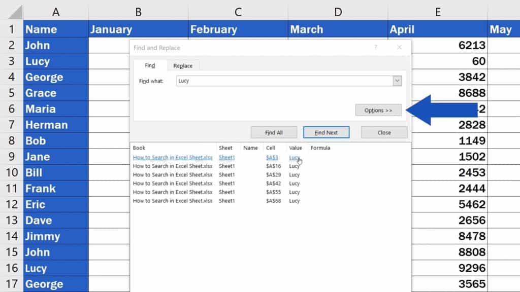 How to Search in Excel Sheet - Options