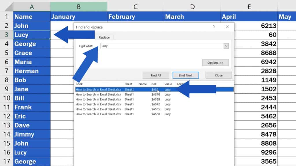 How to Search in Excel Sheet - Search Lucy - Results
