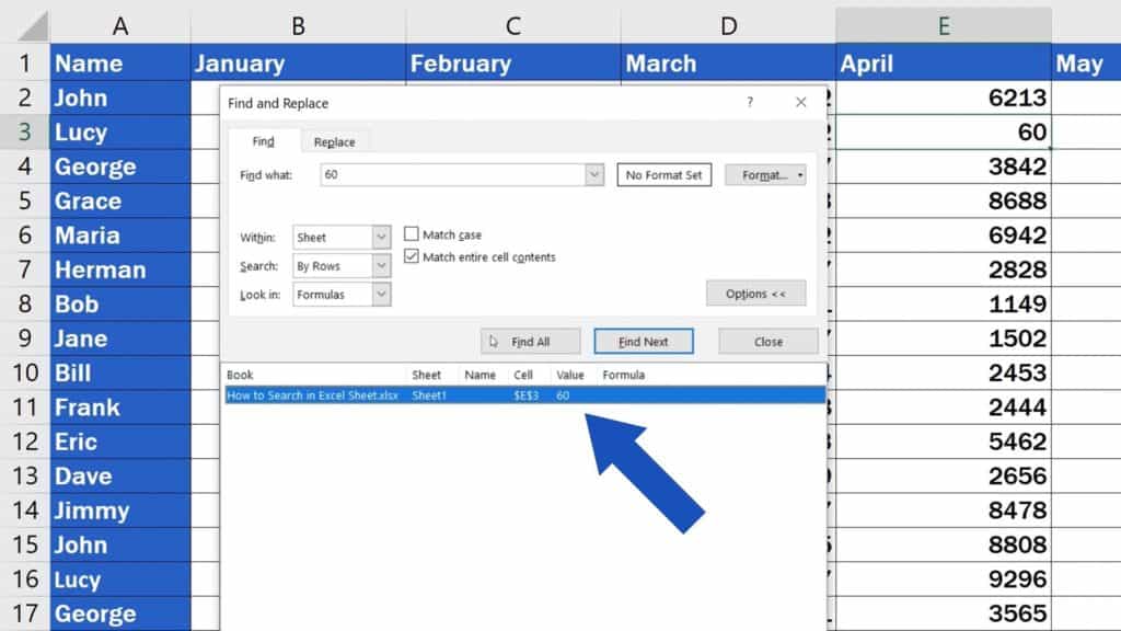 How to Search in Excel Sheet -  Tick the box - Results