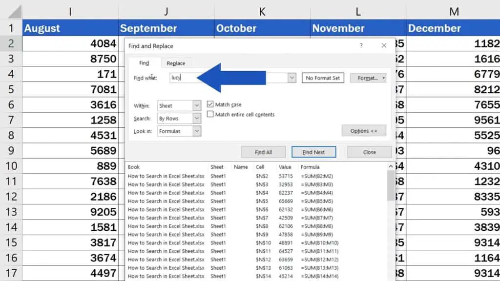 How to Search in Excel Sheet -  Want to find ‘lucy’