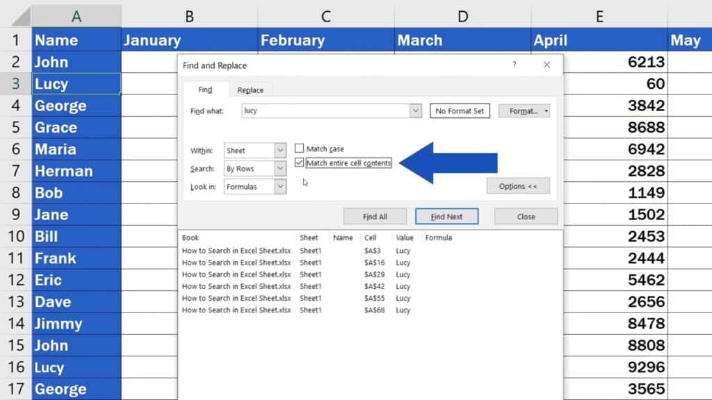 How to Search in Excel Sheet -  option ‘Match entire cell contents’