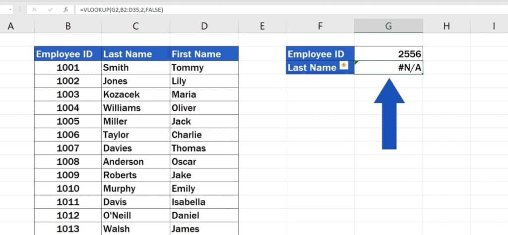 How to Use the VLOOKUP Function in Excel - The VLOOKUP Function - any valid result