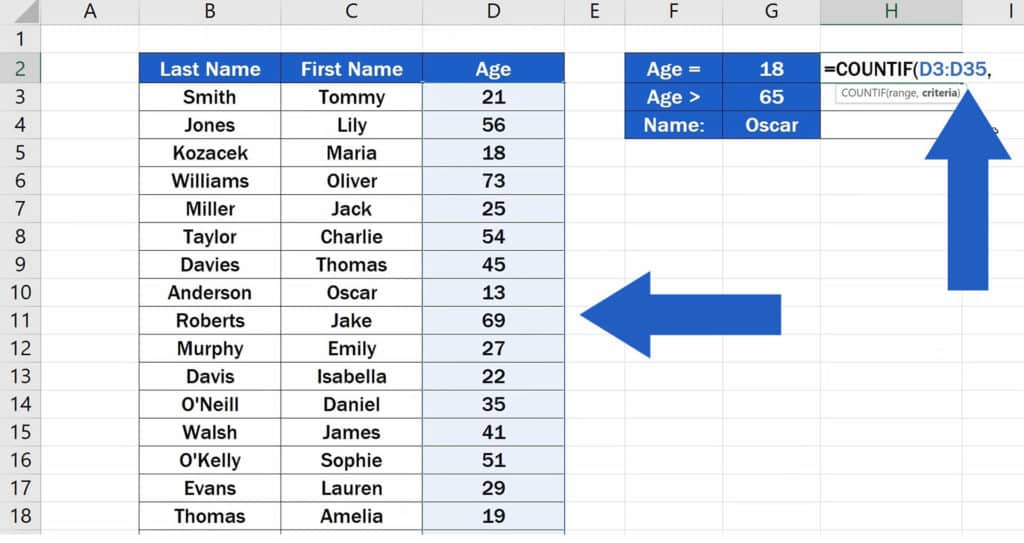 How to Use the COUNTIF Function in Excel - COUNTIF Function - Range choosen