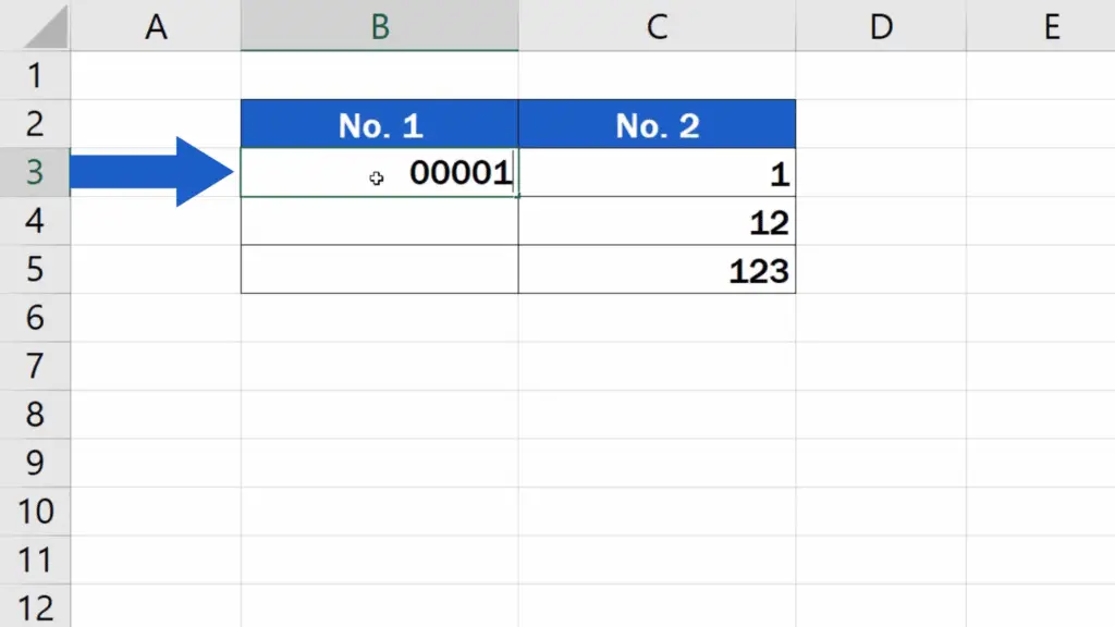 How to Add Leading Zeros in Excel - Enter data starting with zero