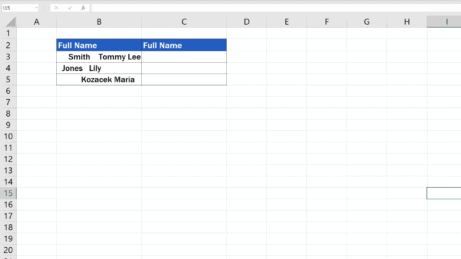 How to Remove Spaces in Excel