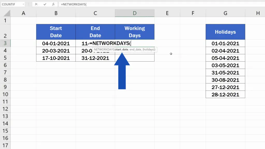 How to Calculate Working Days in Excel - enter the following details