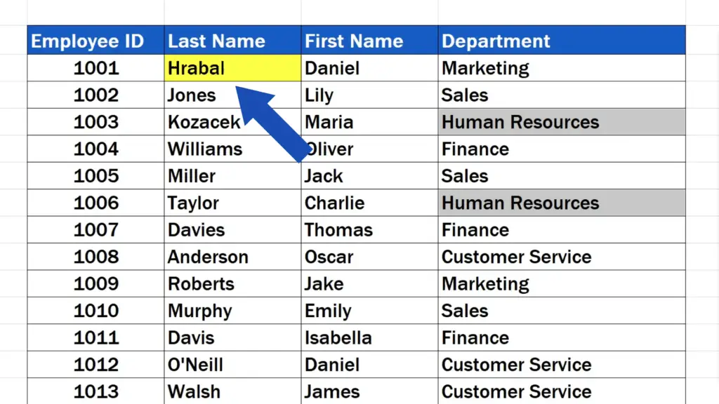 How to Replace Words in Excel - The name ‘Hrabal’ has been left unchanged