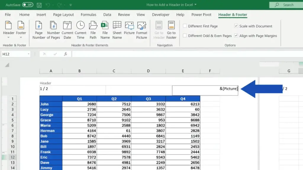 How to Add a Header in Excel - picture code