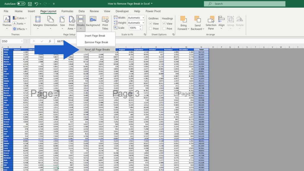How to Remove a Page Break in Excel - ‘Reset All Page Breaks’