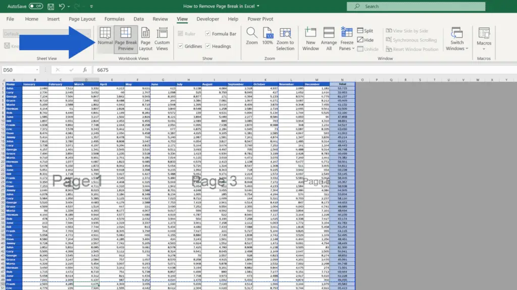 How to Remove a Page Break in Excel - switch the view to normal