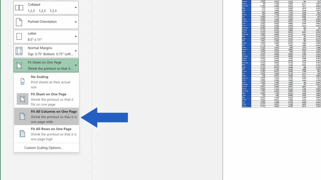 How to Print an Excel Sheet on One Page - fit all columns or all rows on one page