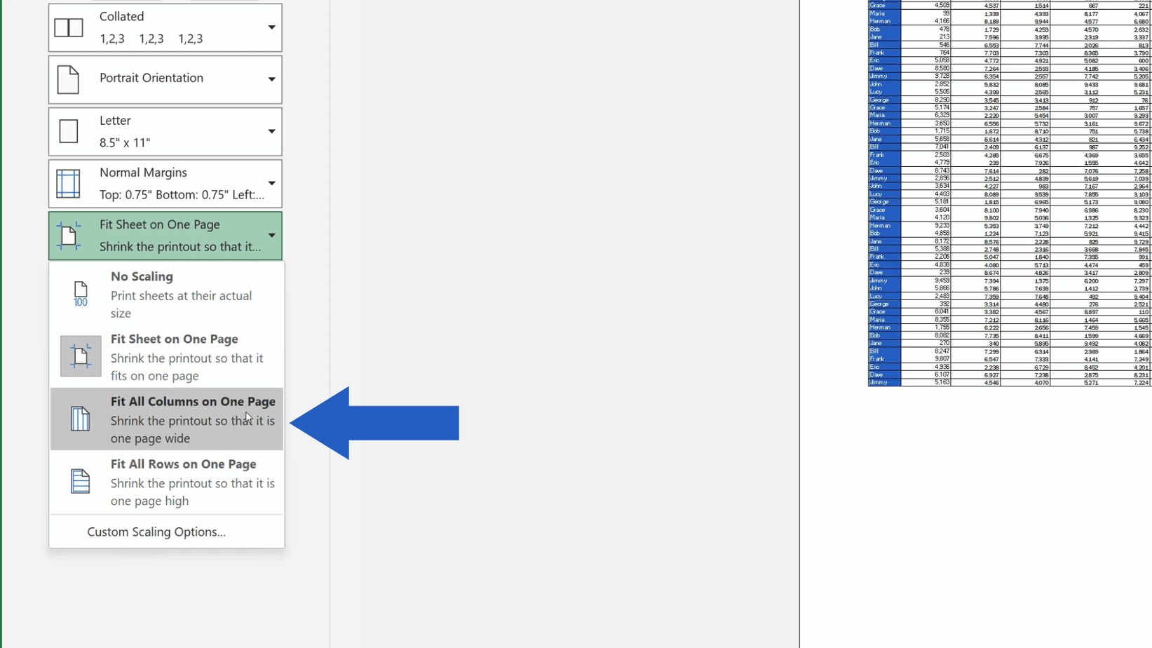 How to Print an Excel Sheet on One Page