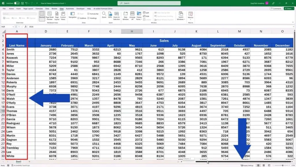 How to Freeze Columns in Excel - Excel freeze the first column