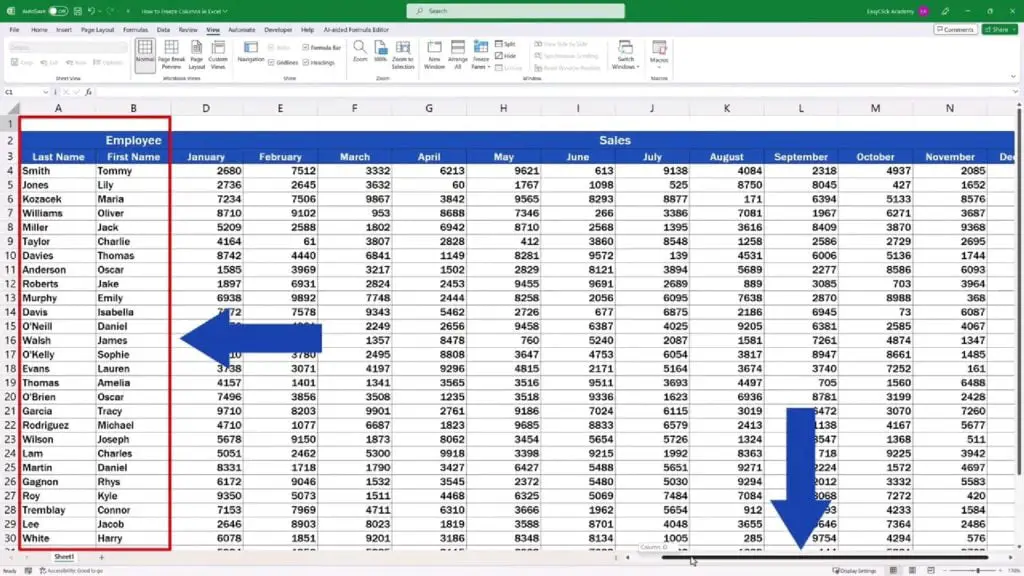 How to Freeze Columns in Excel - the first two columns stay visible while scrolling in the table