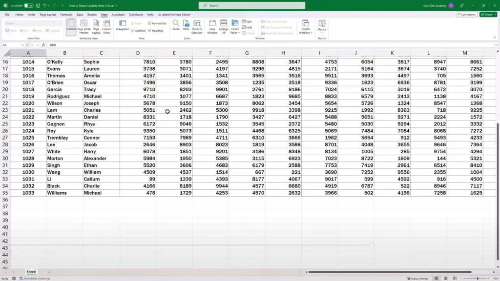 How to Freeze Multiple Rows in Excel - None of the rows is frozen