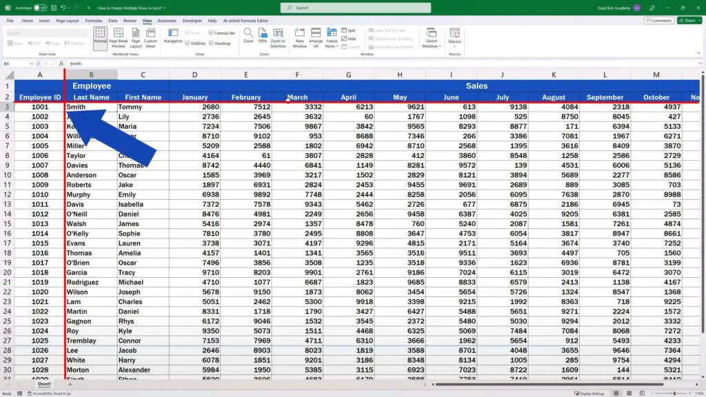 How to Freeze Multiple Rows in Excel - rows 1 and 2 and column A stay visible