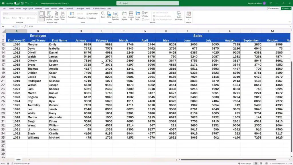How to Freeze Multiple Rows in Excel - the first two rows of the table frozen