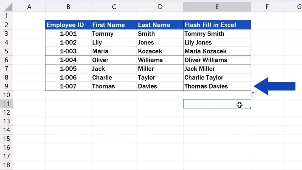 How to Use Flash Fill in Excel - Excel has recognised the pattern we want to follow