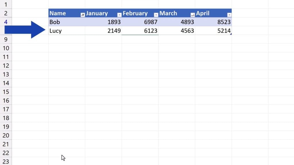 How to Make a Table in Excel - filtered Bob and Lucy